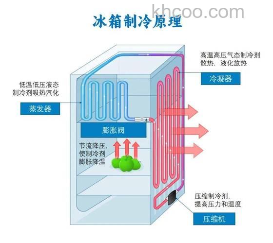 冰箱门有没有磁力的 冰箱门的工作原理【详解】