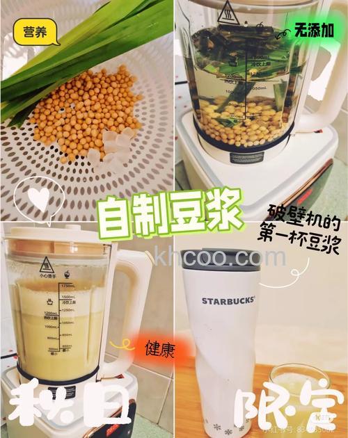 普通榨汁机怎么做豆浆 普通榨汁机制作豆浆方法【详解】