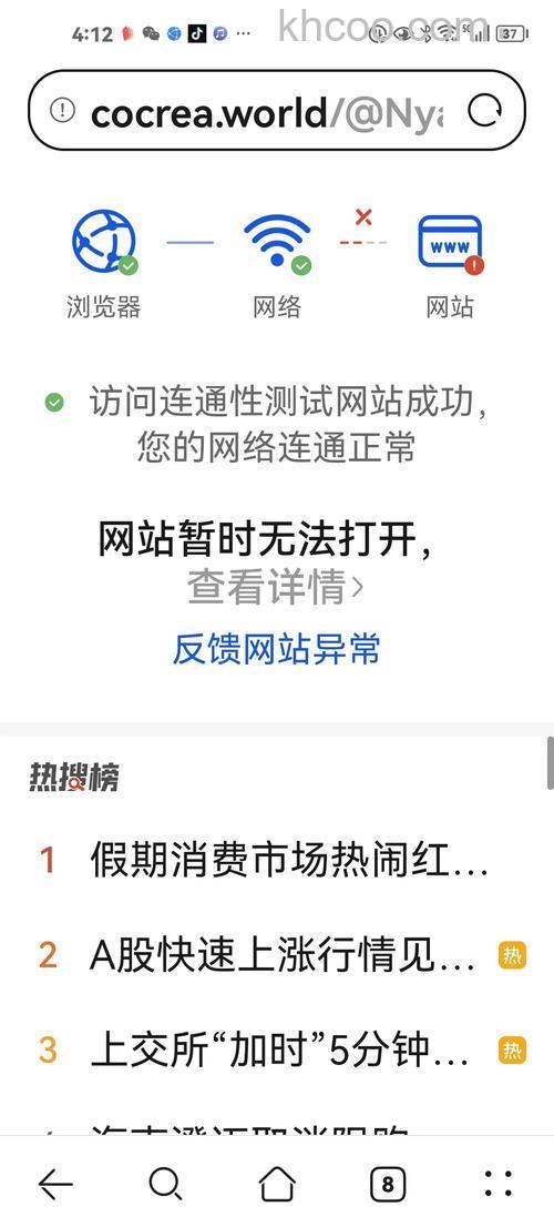 风行无法获取网址怎么办