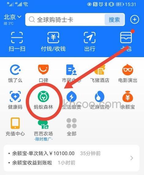支付宝蚂蚁森林怎么关闭 支付宝蚂蚁森林关闭方法【详细步骤】