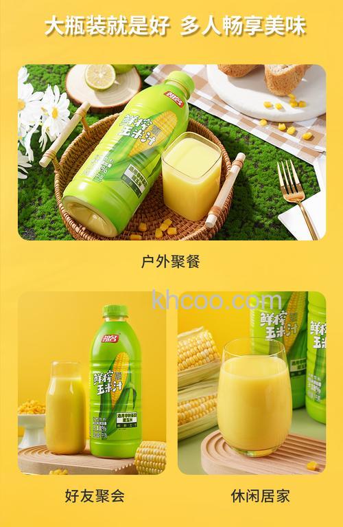 大型玉米榨汁机哪款好 大型玉米榨汁机品牌介绍【推荐】