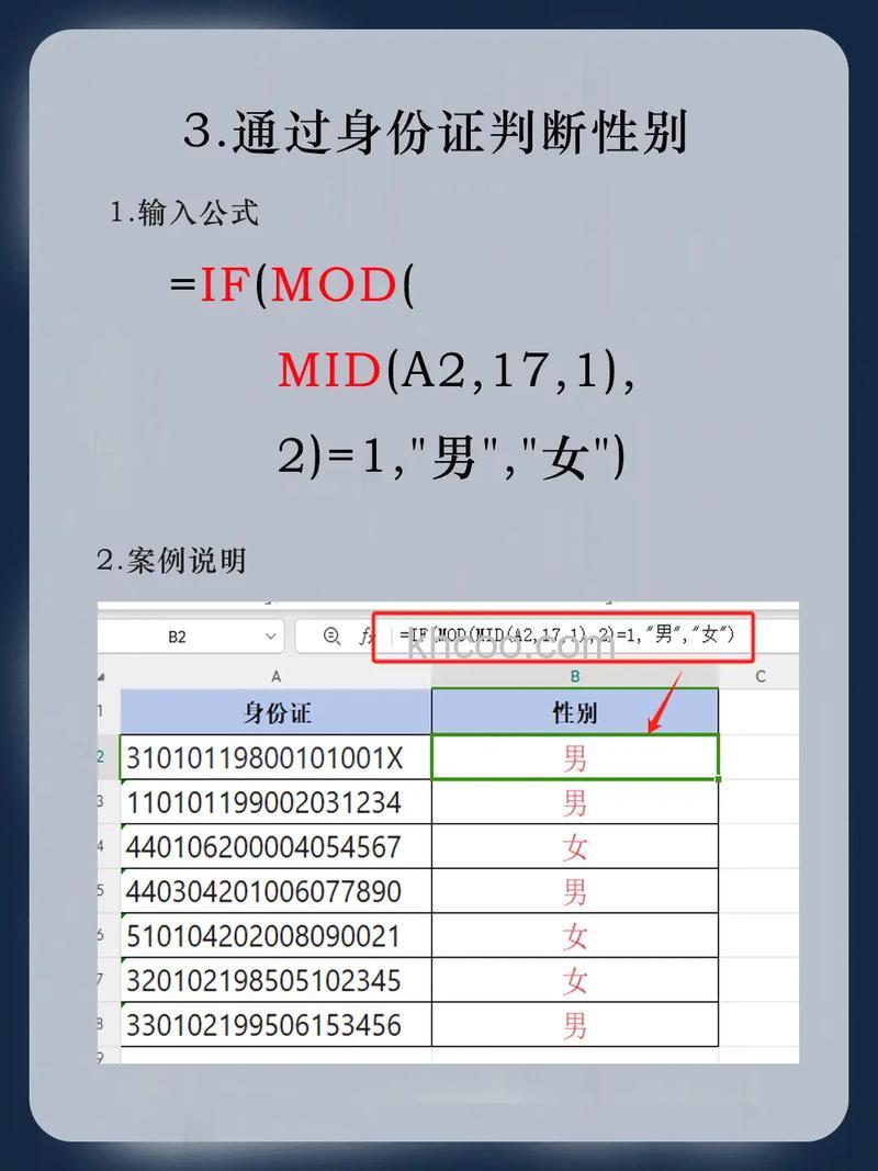 wps表格怎么快速录入性别 wps表格快速录入性别的方法