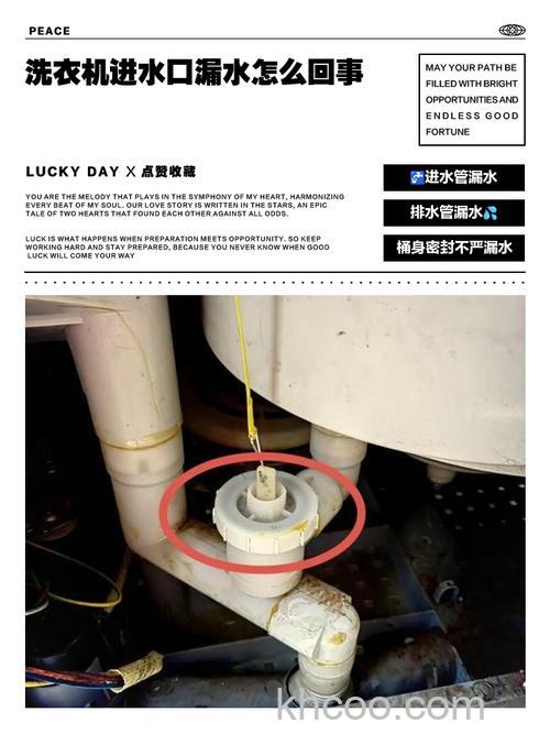 洗衣机进水就出水怎么回事 洗衣机进水就出水原因分析【详解】