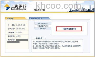 支付宝上海银行如何使用网上银行专业版支付
