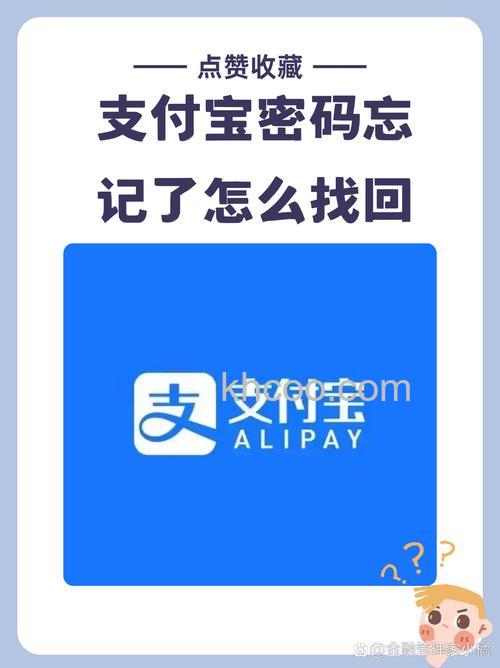 支付宝卡通支付时输入的是哪个密码