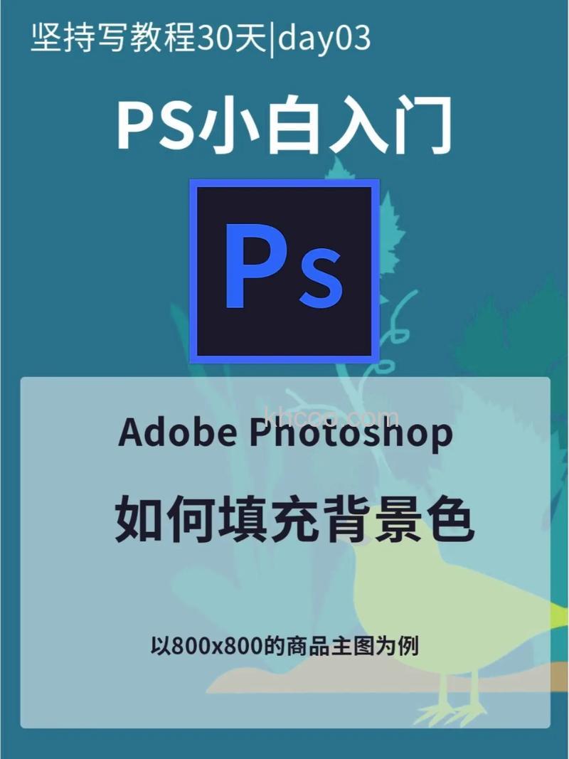 ps怎么快速给插画填充颜色 ps快速给插画填充颜色方法【教程】