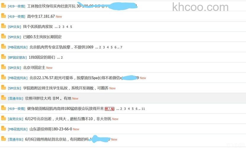 百度搜索伴侣的系统要求是什么