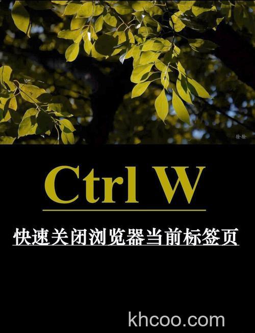 傲游关闭当前标签(窗口)的快捷键是什么
