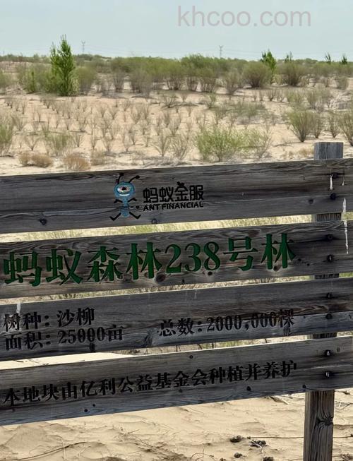 支付宝蚂蚁森林保护地有哪些 看看蚂蚁森林在哪些地方【详解】