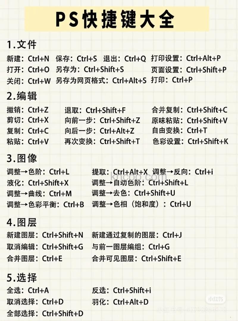 PS新建图层快捷键是什么 PS新建图层快捷键使用教程【详解】