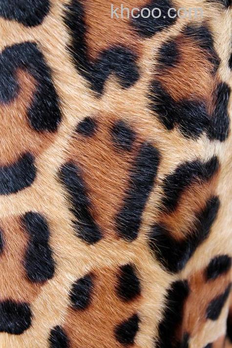 如何利用ps滤镜制作逼真的豹皮纹理