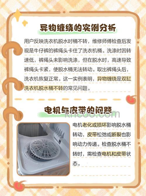 双缸洗衣机脱水不转怎么回事 双缸洗衣机脱水不转解决方法
