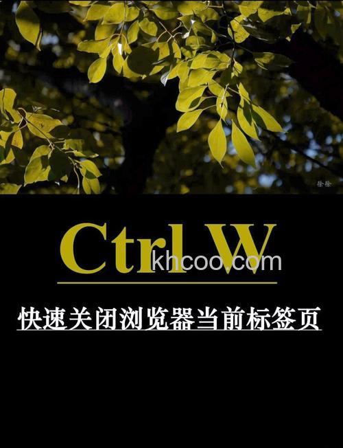 Firefox关闭窗口的快捷键是什么