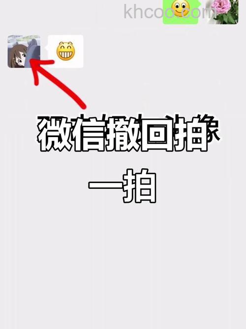 微信拍一拍撤回怎么用 微信拍一拍撤回的用法【详解】