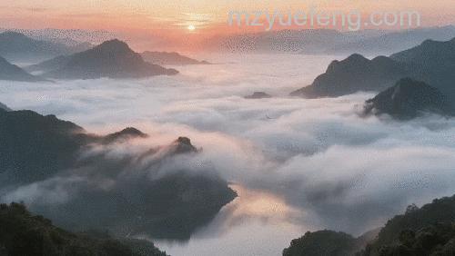 动态摄影应注意什么:动态摄影拍摄技巧
