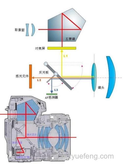 135单反相机原理介绍