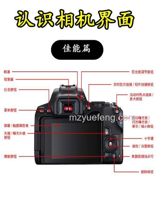 佳能450D说明书:取景器、菜单按键与自动对焦步骤图解