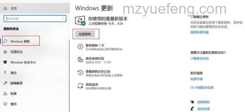 ThinkPad的VISTA系统如何手动更新系统?详细步骤汇总
