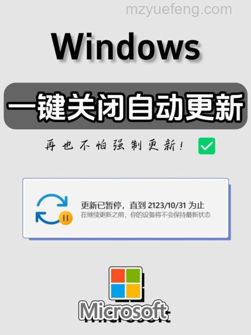 ThinkPad的VISTA系统自动更新的作用是什么？