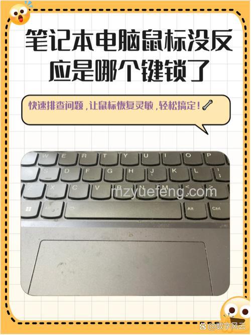 鼠标连接电脑没反应?驱动更新、电源管理设置与接口更换全指南