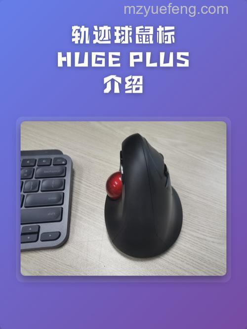 宜丽客HUGE轨迹球鼠标怎样 宜丽客轨迹球鼠标详解