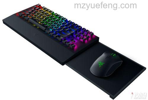 razer雷蛇外设怎么样?razer雷蛇外设多少钱【详细介绍】