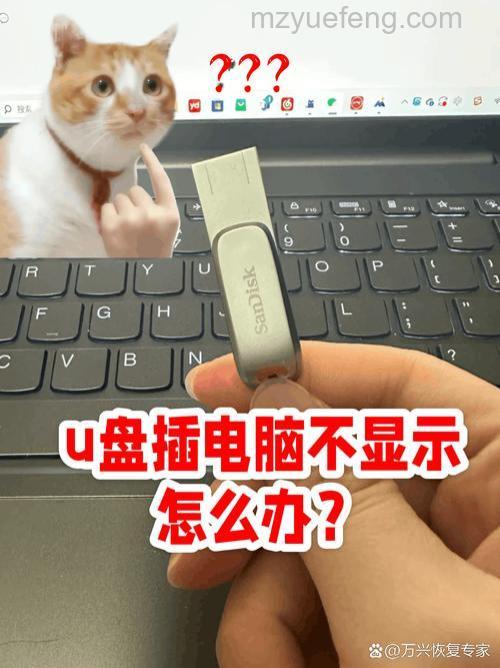 U盘不显示盘符怎么办?三种解决方法