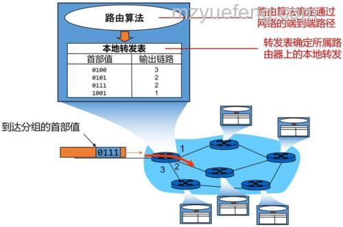 路由算法详解:管理距离与最大跳数的区别及动态路由协议分析