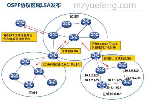 OSPF区域间路由技术详解:原理、LSA与虚连接