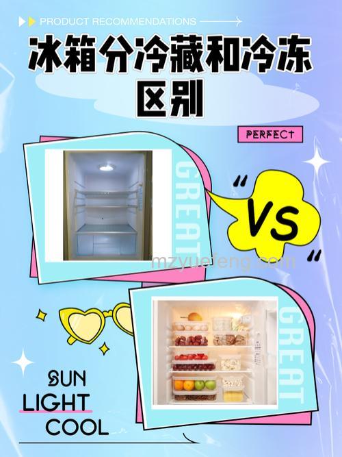 冰箱冷冻与冷藏有什么区别?冬天冰箱的最佳设定温度建议【详解】