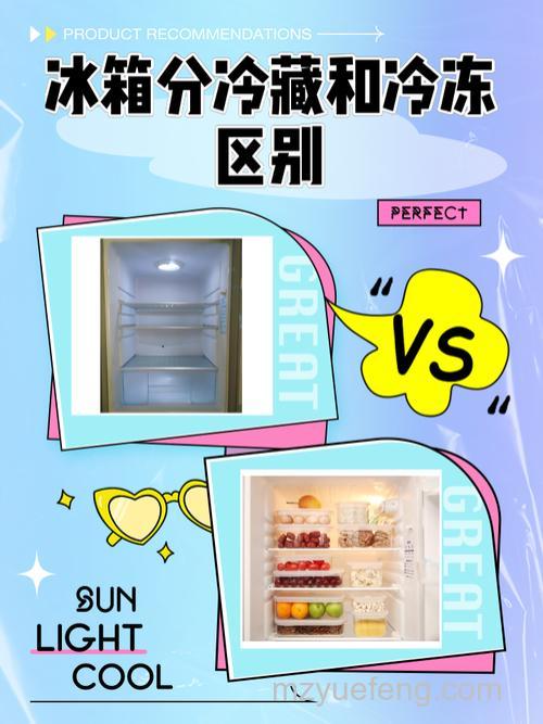 冰箱冷藏大还是冷冻大哪个好？对比详解