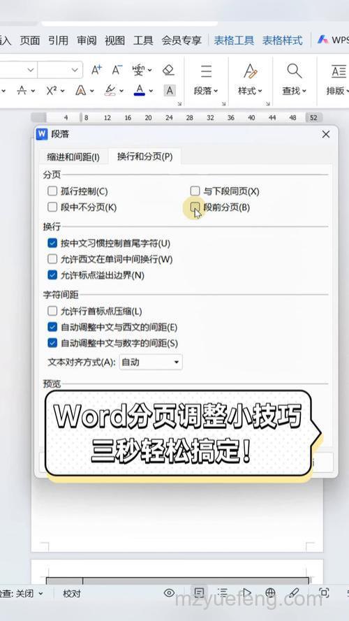 Word文档中如何设置分页符?详细步骤说明