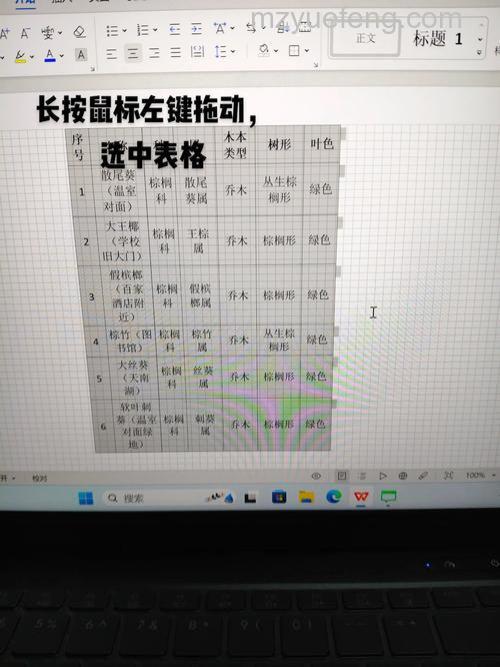 怎么把一个Word文档中的表格复制到另一个Word中?两种方法详解