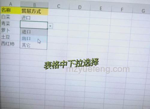 Excel数据验证:轻松设置单元格字符个数限制