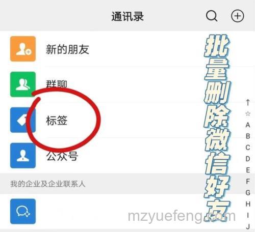 如何通过WAP飞信搜友功能快速搜索好友或非好友