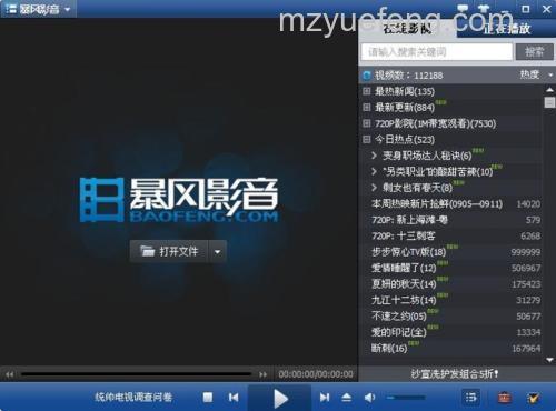 暴风影音专属格式可播吗