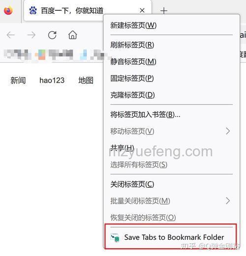 Firefox为什么右键的flashgot选项不能用
