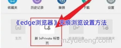 阿云浏览器如何有选择地删除部分浏览痕迹