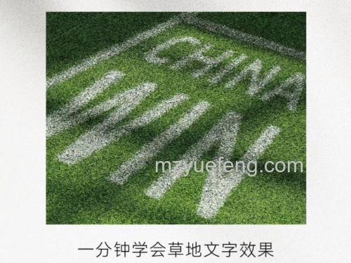 ps如何制作一张草坪上写字的效果图