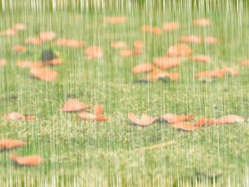 Photoshop制作动态下雨特效的步骤