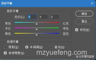 会声会影X3可以调整图像色彩吗