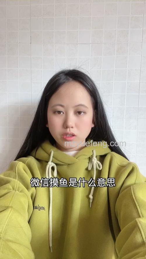 微信状态摸鱼意思介绍【详解】